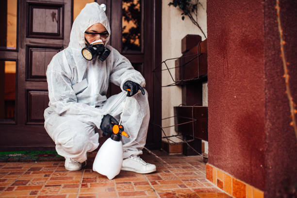 Reliable Rodent Control contractor in Little River-Academy, TX by Nex Pest Control