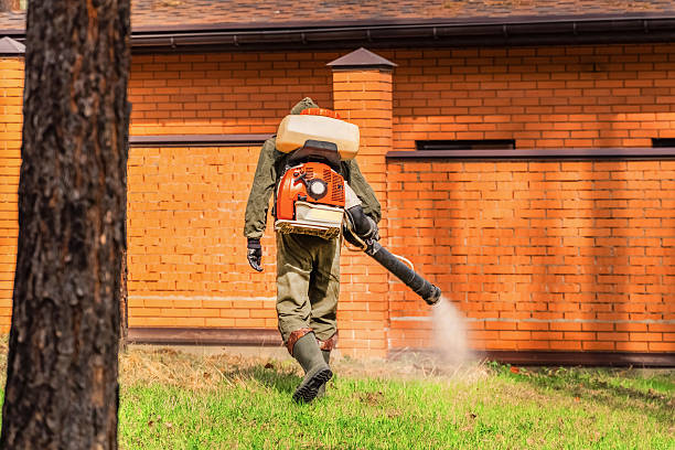 Trusted Mosquito Control service in Little River-Academy, TX - Nex Pest Control